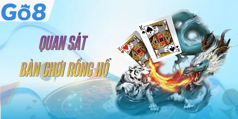 rong-ho-go8-quan-sat-ban-choi